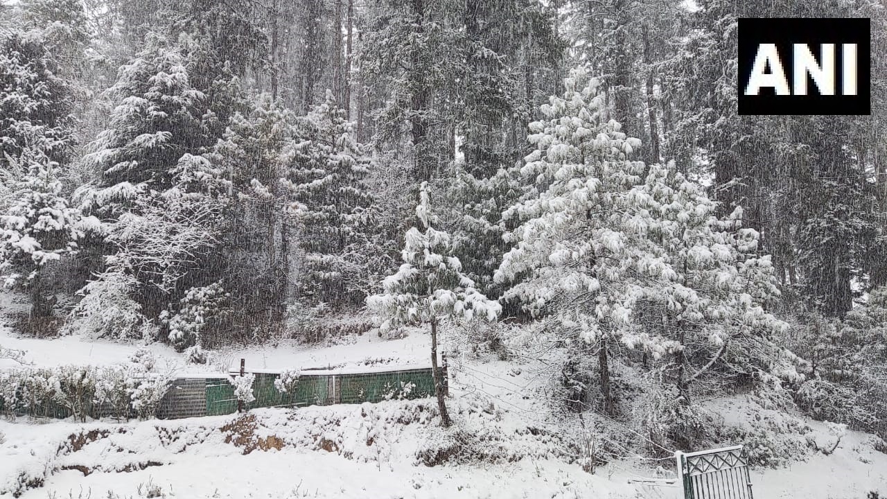 Fresh snowfall in District Shimla Himachal Pradesh 